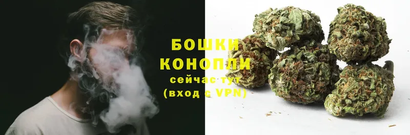 Конопля OG Kush  Москва 